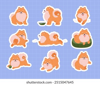 Set of Pomeranian Spitz. Stickers. Clipart. Various poses. Happy little fluffy dogs. Cute puppies. Pet. Cartoon style. Vector illustration on a blue background.