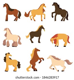 Set of pony horses of different color in motion. Thoroughbred animals are standing walking, prancing, galloping, rearing and grazing. Horse breeding. Flat vector illustrations