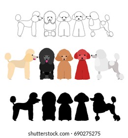 set of poodle group