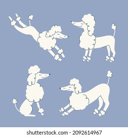 Set of poodles on blue background. Cartoon cute dog illustration in flat style. Doodle style. Good for posters, t shirts, postcards.