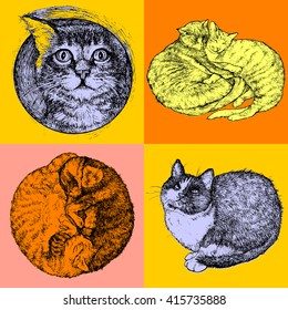 Set of pop art cats, can be used to design for T-shirt, card, poster, invitation. Vector colored illustration 