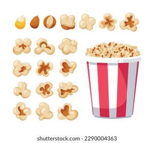 Set Of Popcorn Bucket And Seeds Includes Various Shapes, Ranging From Round To Oblong, Waiting To Be Popped