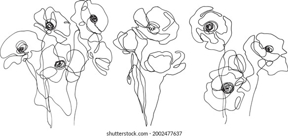 set of poppies flower continuous line illustration. pen drawing. black and white illustration. 