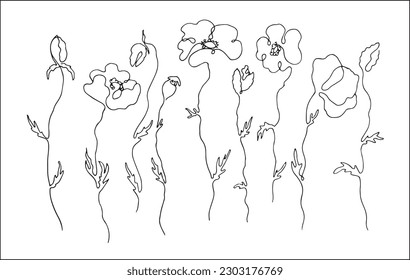 Esquema de conjunto de amapolas. Elementos decorativos vegetales vectoriales en blanco y negro, contornos y diferentes formas y siluetas de amapolas, pintura de una línea.