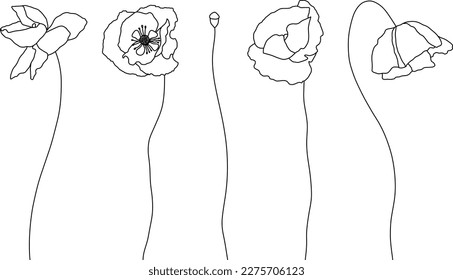 Set of poppies, poppy flowers and logo. Trendy botanical lineart elements. Hand drawn line leaves, branches and blooming. Wedding elegant flowers for invitation, save the date, card. Vector linear des