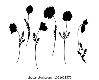 set of poppies silhoutte vector illustration