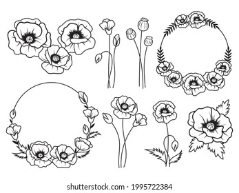 Set of poppy flower. Collection wild flower bouqets, wreath, etc. Botanical. Field plants. Vector illustration for print.