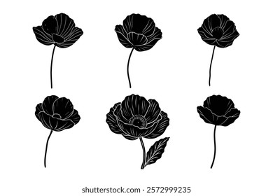 set of poppy flower vector illustration