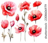set of poppy flower watercolor