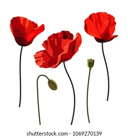 A set of poppy flowers, beautiful flowers, meadow plants. Flat design. Vector illustration.