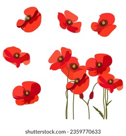 Set of Poppy flowers isolated on white background.