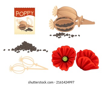 Conjunto de condimentación de semillas de amapola con ilustración vectorial de la cabeza y del paquete de papel moldeado sobre fondo blanco