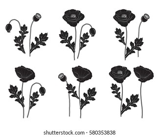 Set of poppy silhouettes isolated on white background - vector illustration