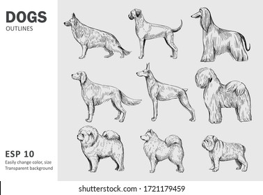 Set of popular breeds of dog. Hand drawn vector outlines. Black on transparent background