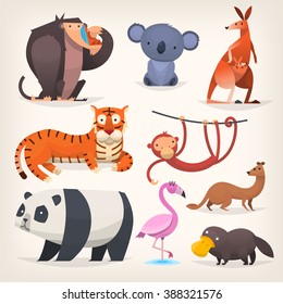 Set of popular colorful vector exotic animals and birds