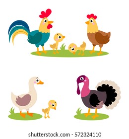 Set of popular colorful vector farm birds. Cute farm birds: rooster, hen, chicken, duck, goose, duck, turkey. Vector hand drawn clip art illustration isolated on white background.