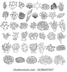 Set of popular cute coral and reef different variant cartoon, icon