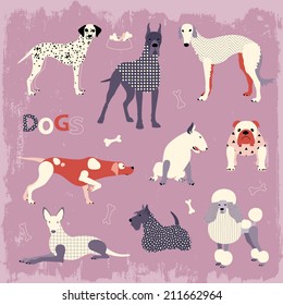 Set of popular dog breeds in vector. Pointer, Poodle, Bulldog, Russian Borzoi, Dalmatian, Pharaoh hound, Scottish Terrier, Bull Terrier, Great Dane.