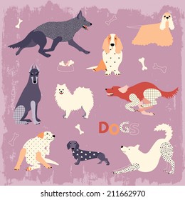 Set of popular dog breeds in vector. Labrador, Doberman, Dachshund, Husky, German Shepherd, Basset Hound, American Cocker Spaniel, Spitz, Irish Setter.