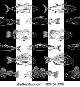 A set of popular sea fish swimming in a different direction. Tuna, cod, dorado, salmon, sea bass, mackerel.Objects are located on a striped black and white background. Sketch, vector illustration