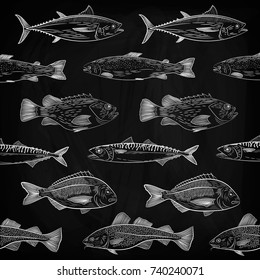 A Set Of Popular Sea Fish Swimming In A Different Direction. Tuna, Cod, Dorado, Salmon, Sea Bass, Mackerel. Sketch,drawing Chalk On A Blackboard , Vector Illustration