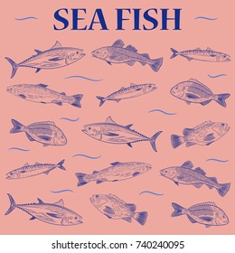 A set of popular sea fish swimming in a different direction. Tuna, cod, dorado, salmon, sea bass, mackerel. The inscription "Sea fish". vector illustration