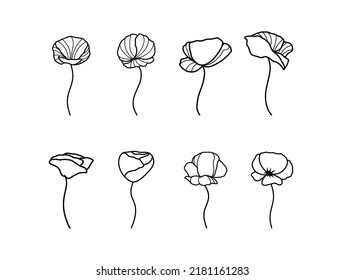 Set of popy Flower Drawing Black and white Illustrations White Background