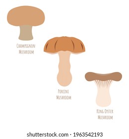 Set with Porcini Mushroom, Champignon and King Oyster isolated on white, made in flat style. Symmetrical shape filled with color only. Colorful vector illustration for product design, web and print.