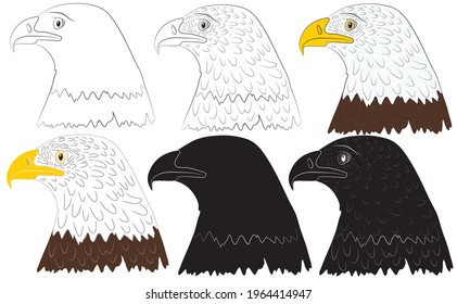 Set of Portrait of the head of a bald eagle in isolate on a white background. Vector illustration.
