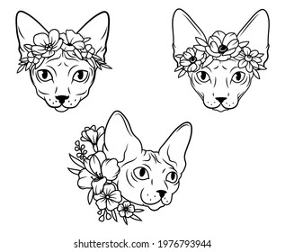 Set of portrait of sphynx cat head with flowers. Collection of portrait sphynx cat with flowers headband. Blossom pets. Tattoo. Vector illustration on white background.