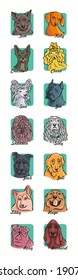 A set of portraits of dogs. Different breeds. Vector graphics.