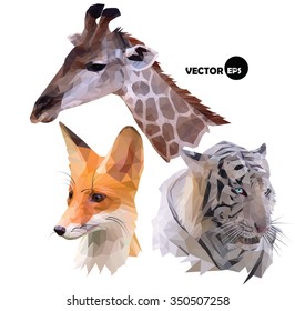 set of portraits of wild animals a giraffe, white tiger, red Fox
realistic in polygonal (low poly) origami style. vector illustration

