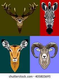 a set of portraits of wild herbivores - deer, zebra, antelope, sheep