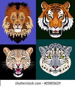 Set portraits wild predators - lion, tiger, leopard, snow leopard