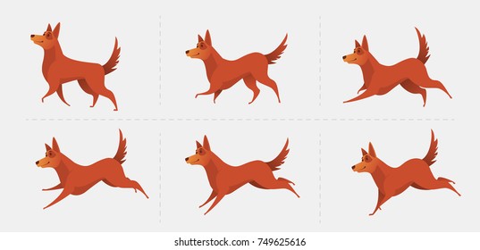Set of poses for the animation of the dog. The dog is running. Red dog symbol of the year 2018. Vector illustration.
