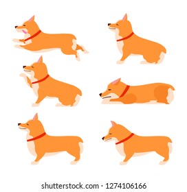 Set of poses and emotions dog. Welsh Corgi Set. Teach dog. Stay, Wait, Sit. Flat vector illustration.