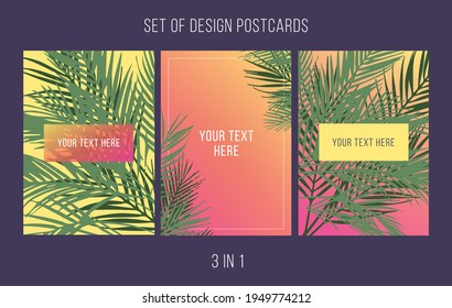 Set of postcard design. Palm leaves on a sunset background. 3 in 1.