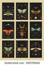 Set of postcards in boho style with insects. Vector graphics.