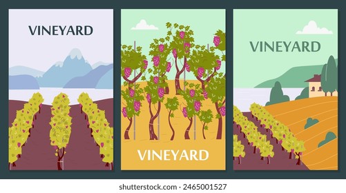 Set of postcards or flyers with vineyard fields flat style, vector illustration isolated on green background. Decorative design about farming and agriculture, growing grapes bushes