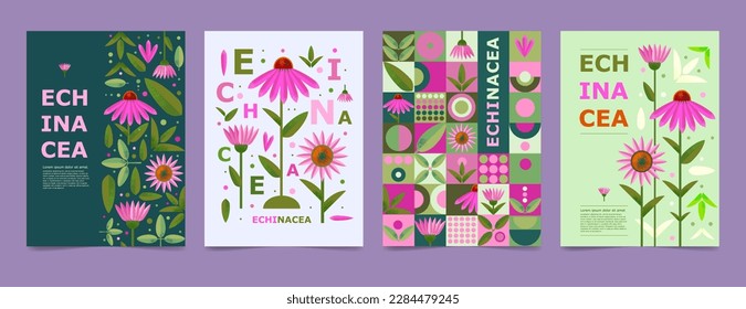 Set poster, brochure with Echinacea drawing. Isolated flower and leaves. Cards geometry for print design vector banner