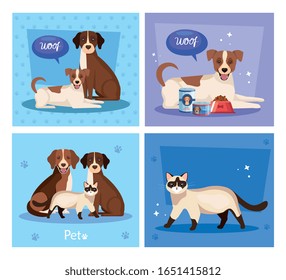 set poster of cute cats with dogs and icons vector illustration design