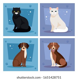 set poster of cute cats and dogs vector illustration design