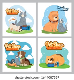 set poster of pet shop veterinary with icons vector illustration design