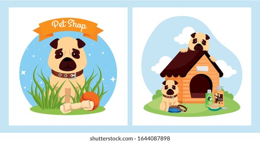 set poster of pet shop veterinary with icons vector illustration design