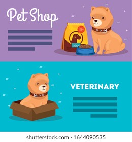 set poster of pet shop veterinary with icons vector illustration design