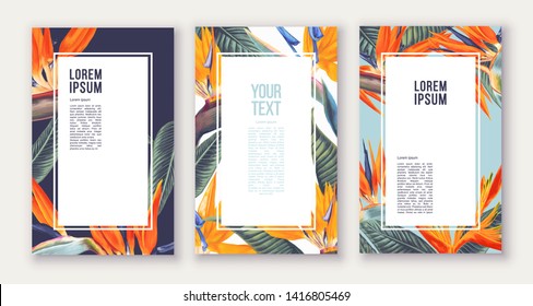 Set of poster  with tropical flowers - Strelitzia,South African plant, called crane flower or bird of paradise. Can be used as greeting, invitation card, template design, cover, party advertisement.