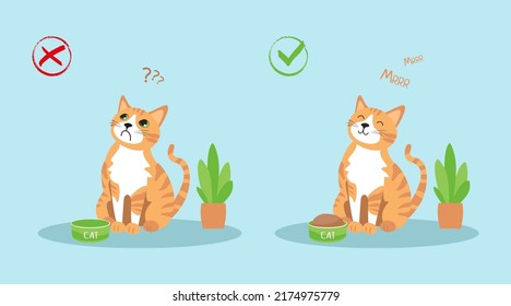 Set of posters - the concept of a hungry and full cat. Ginger vector cat sees near the bowl. The cat is asking for food.
Vector illustration on isolated background in flat style.
