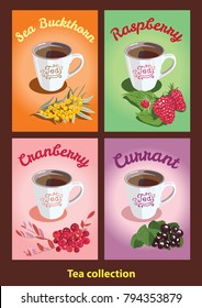 Set of posters with cups with berry tea. Sea buckthorn, raspberry, black currant, cranberry. Collection of fruit tea. Vector image.