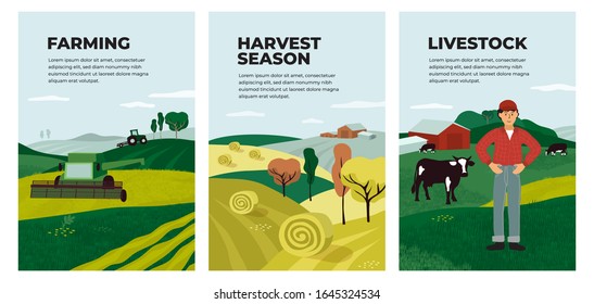 Set of posters with farming, livestock, harvest season. Illustrations of hay, hayfield, agricultural landscapes, combine harvester and tractor on field. Farmer and cows on farm. Vector banner, cover.