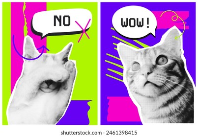 Set posters with fun cats in a pop art style and  with torn paper. Wallpapers with speech bubble no and WOW expression, highlighted by dynamic lines and halftone dots effect